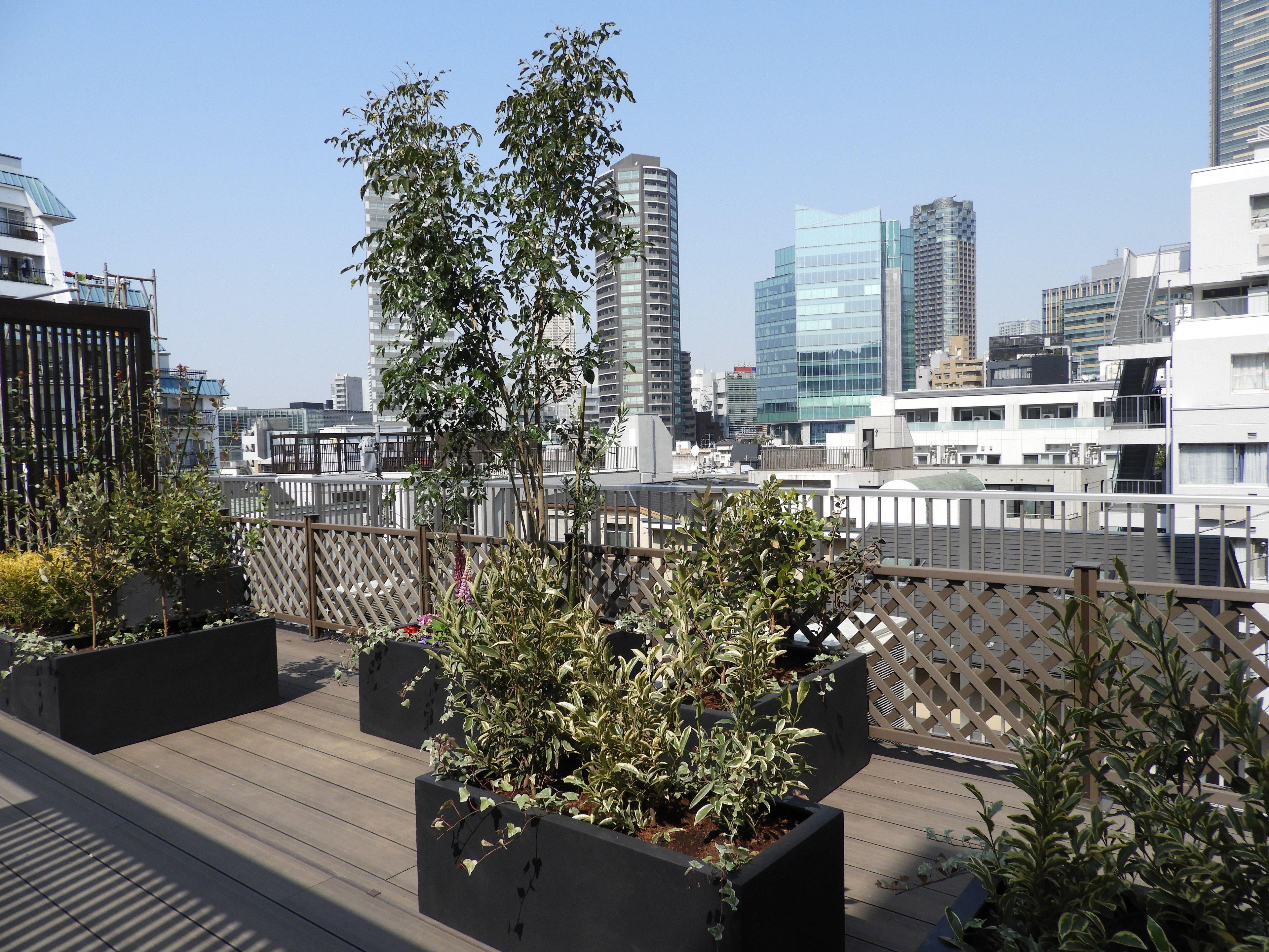 Act Hotel Roppongi — Foto 3